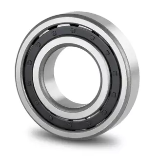 bearing NF207